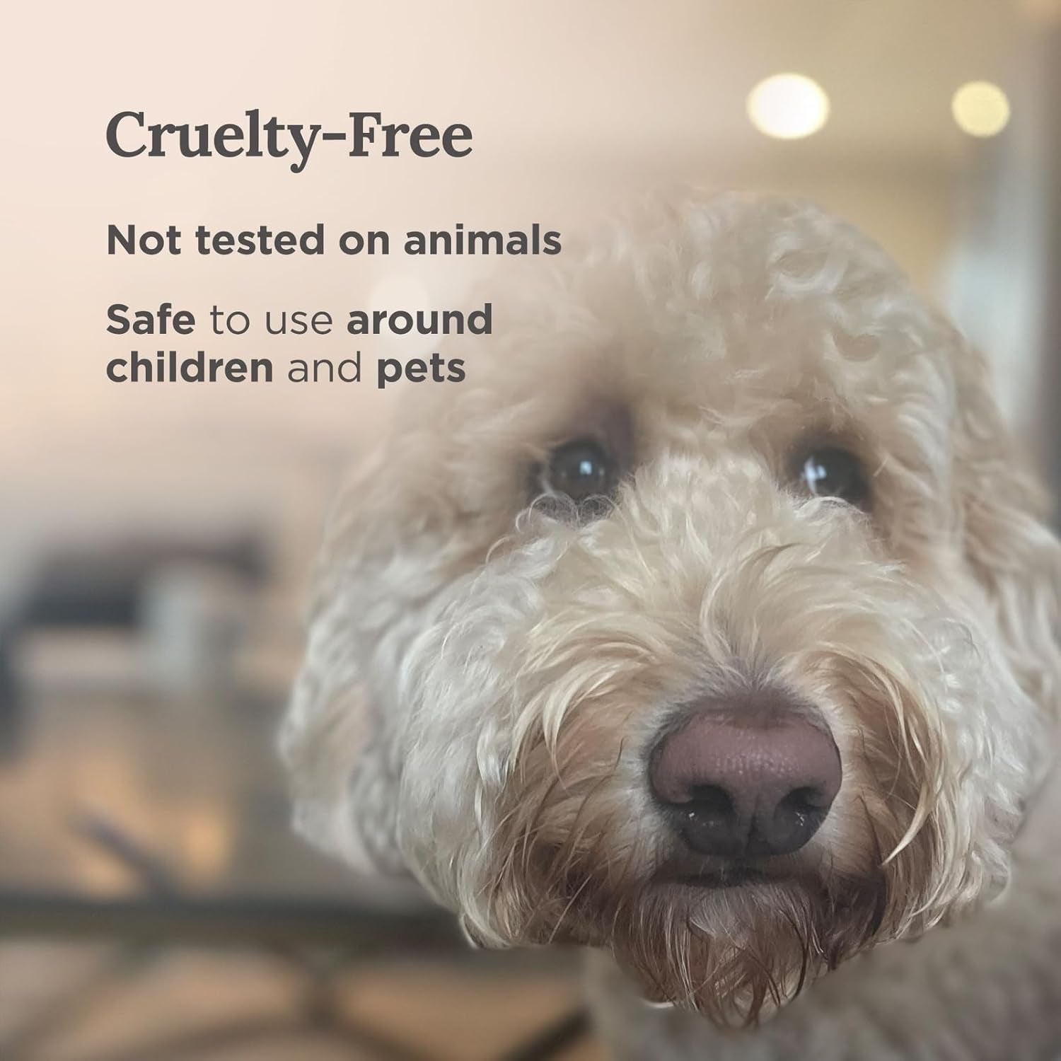 Long Lasting Flower Tin Candles with Rose Scented | 6 Oz - 35 Hour Burn | Made of Natural Soy Wax for Manifestation, Purification & House Energy Cleansing | Love Soars the Heart