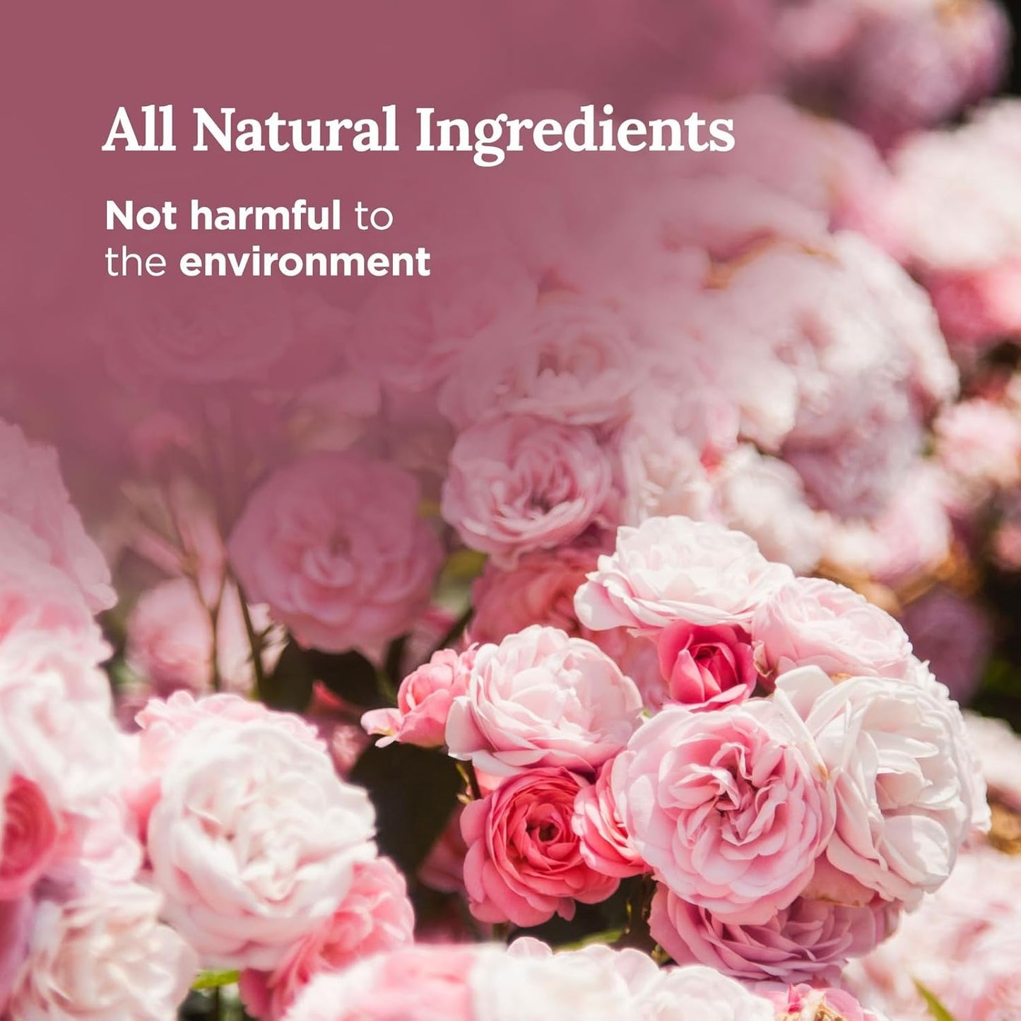 Long Lasting Flower Tin Candles with Rose Scented | 6 Oz - 35 Hour Burn | Made of Natural Soy Wax for Manifestation, Purification & House Energy Cleansing | Love Soars the Heart